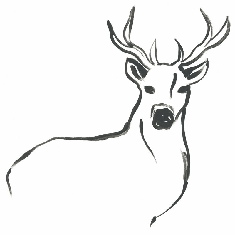 Minimal Deer II, H 12 po x l 12 po