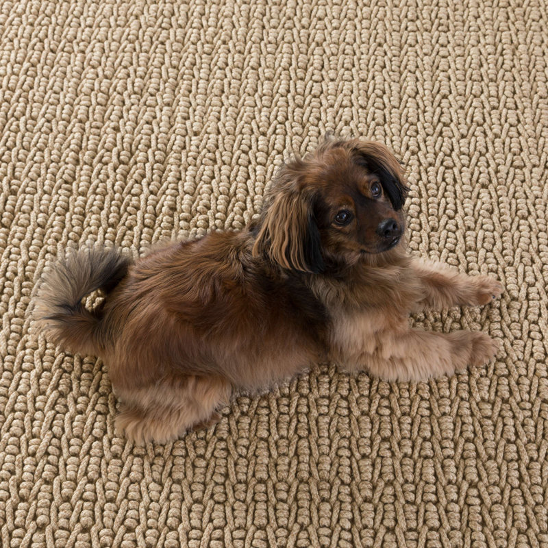 Veranda Area Rug, Rectangle 2' x 3'
