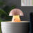 Xyanna Metal Desk Lamp-1128297856