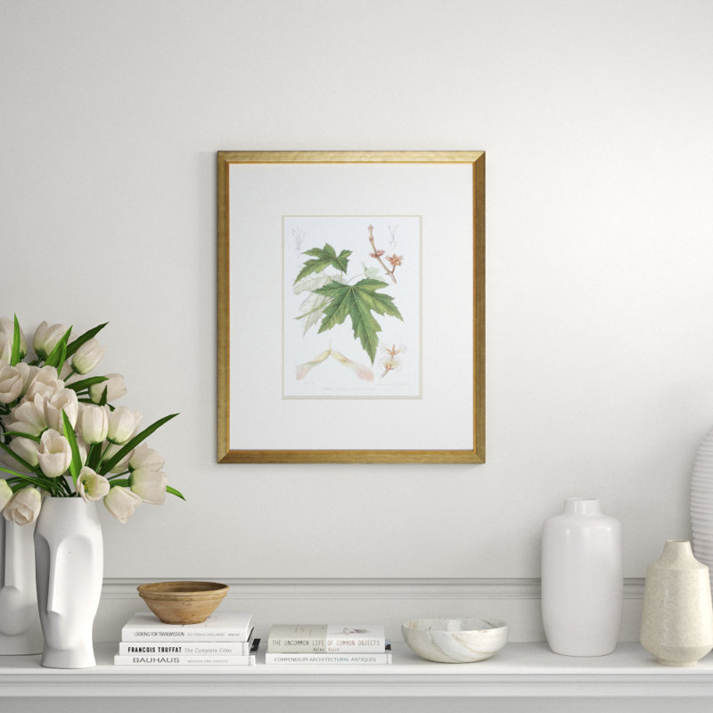 Antique White Maple Print by Linden