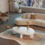 Table basse moderne 46 po x 29 po x 12 po - blanc ultrabrillant (table basse seulement)-1450024844