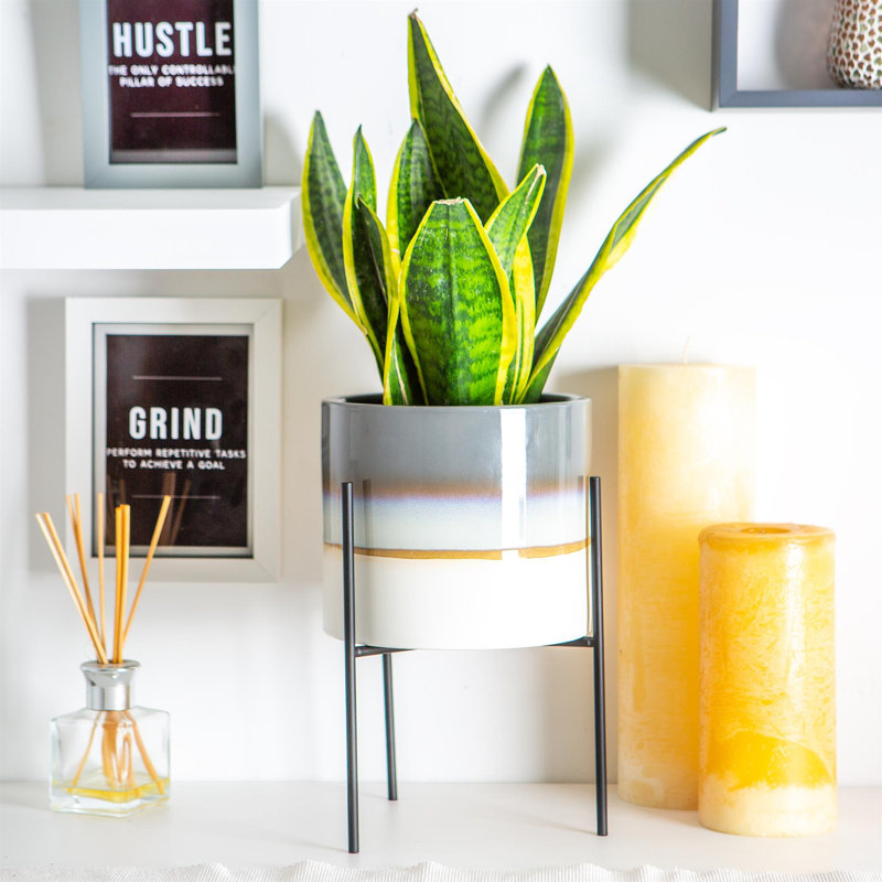 Nicola Spring - Reactive Glaze Plant Pots on Stands - 19cm, Grey/Black