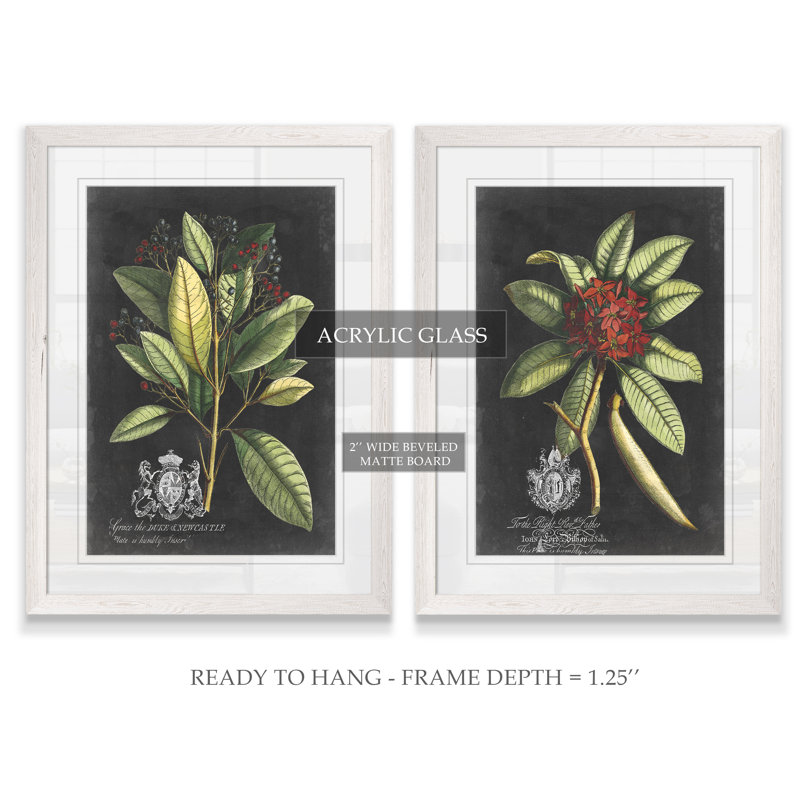 «Royal Foliage III» par Vincent Van Gogh - cadre photo 2 pièces, reproduction d'art, H 20 po x l 16 po x P 1,25 po, Blanc