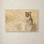 Ann "Cheetahs", reproduction de photo sur toile tendue-24189324