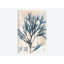 «Seaweed Arrangement I», reproduction d'impression sur toile tendue-29052535-72800344-72800339