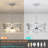 Pheffer 4 - Light Drum Chandelier