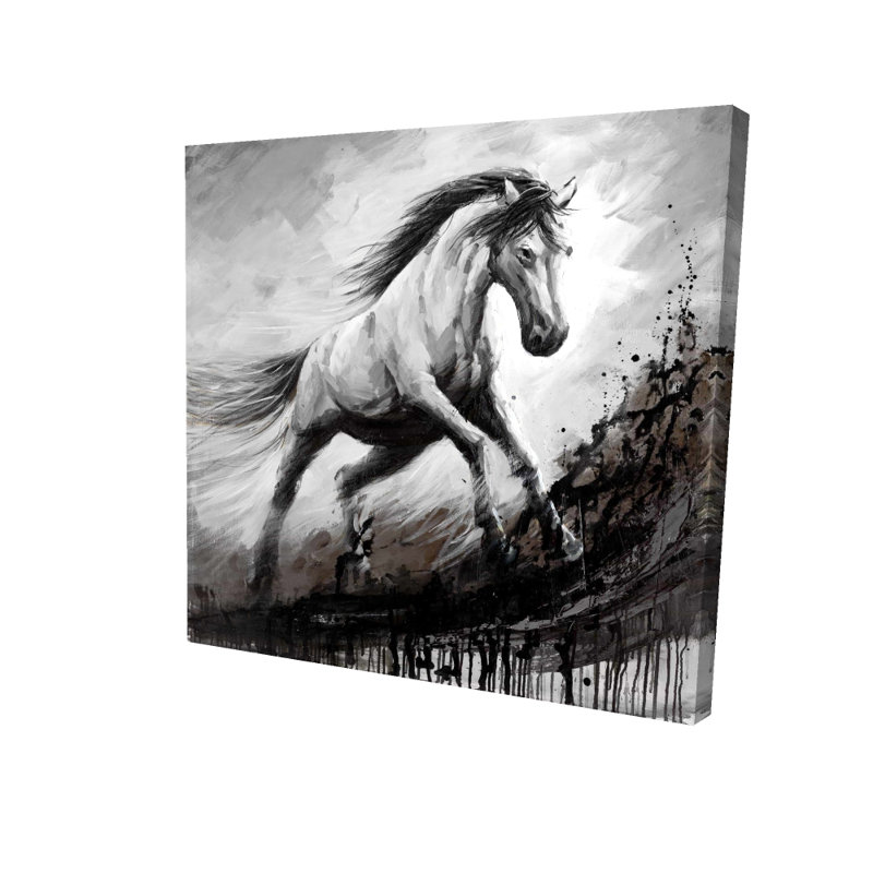 Cheval blanc dans le vent - art mural en toile noire pour la décoration