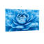 Plantes et fleurs, motif de pétales de fleurs bleues-1025674602-1025674605-1025674607