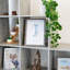 Modern and Stylish Wood Effect Plastic Frame for Wall Hanging-1014935861-1021679193