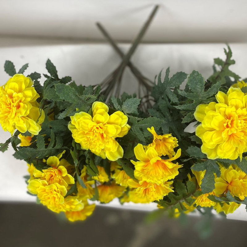 Marigold Bush, Jaune