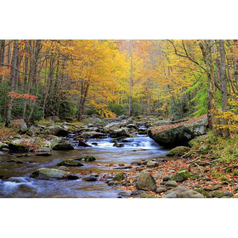 Little River, Great Smoky Mountains National Park, Tennessee - Wrapped Canvas Print, 30cm H x 46cm W x 3.8cm D