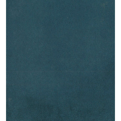 Essential Leathers Sarabelle Suede Fabric