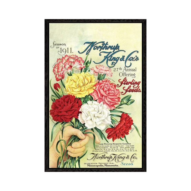 Sterling Seeds, 1911, From The Andersen Horticultural Library by Piddix - Print on Canvas, 66.04 cm H x 45.72 cm W