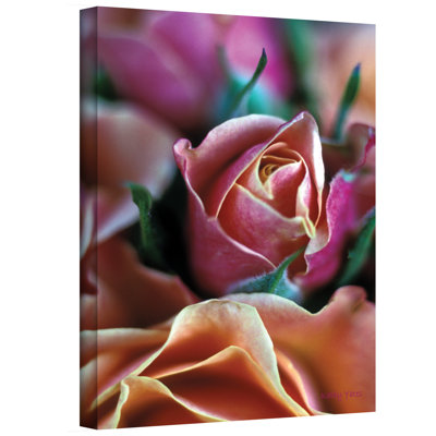 «Mauve and Peach Roses», reproduction de photo sur toile