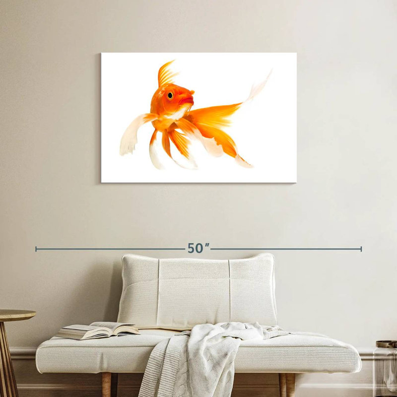 Brampt Goldfish, 24" H x 36" W