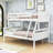 Arista Kids Twin Over Full Bunk Bed-1476028442