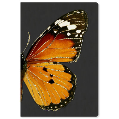 " Animals>Insects>Butterflies "