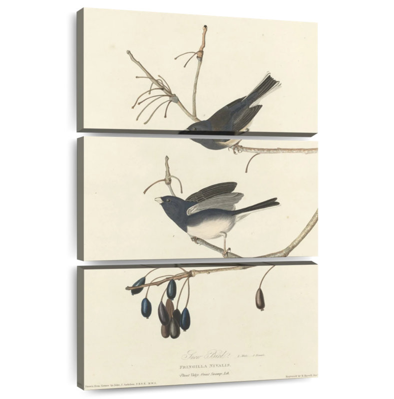 Keiri Snow Bird, 57" H x 36" W