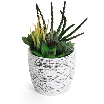 Plantes grasses artificielles en pot 7,75 po
