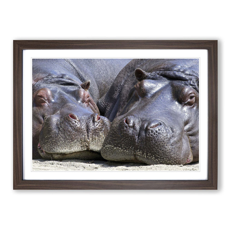 Single Picture Frame Print, Walnut