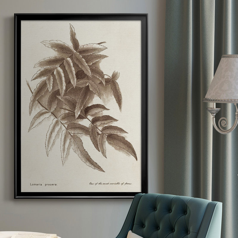 Toile encadrée de qualité supérieure sépia fougères variées IV - prête à être accrochée, Cadre noir