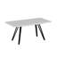 Ferro Beech Dining Table-105633979