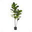 Figuier Achille artificiel en pot-368691956