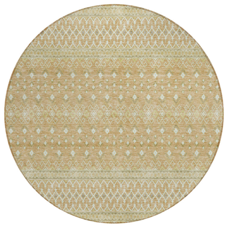  Bhavya Area Rug