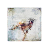 Watercolor Bird III Painting by Zoey Riley
