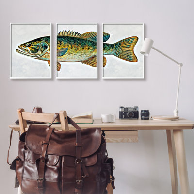 «Lake House Bass Fish Wildlife», ensemble de 3 giclées encadrées par Ashley Aldridge