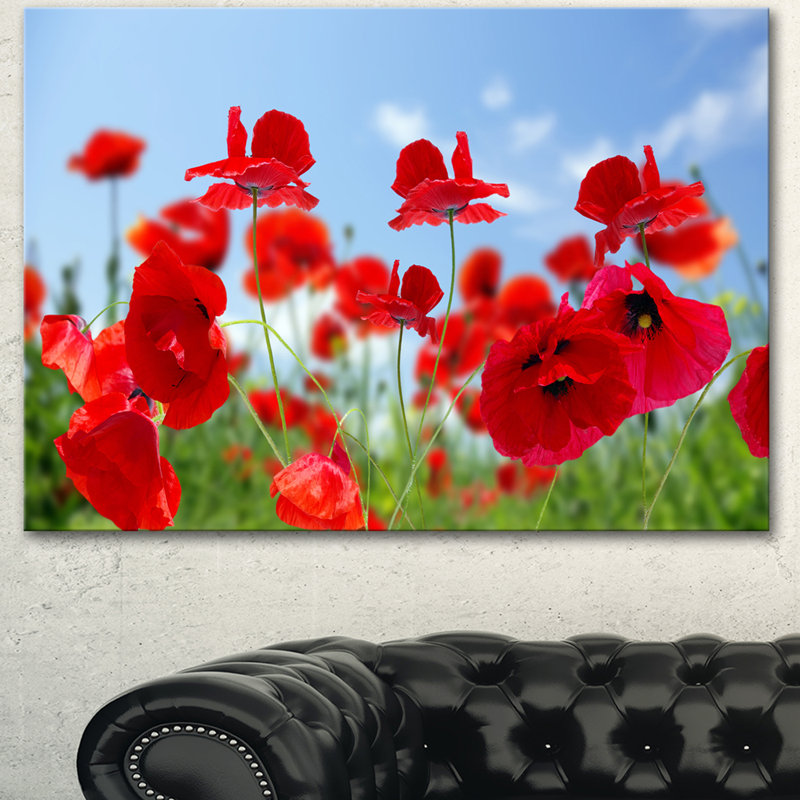 Reproduction de photo sur toile tendue «close-up of amazing, H 16 po x l 32 po