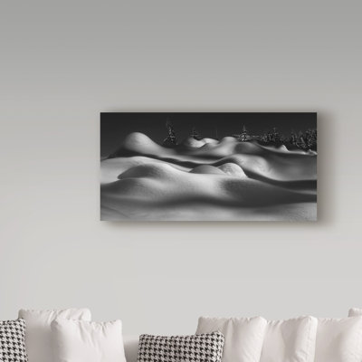 Meisha 'Sleeping Beauties' Graphic Art Print on Wrapped Canvas