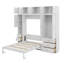 Lit escamotable simple avec casiers et armoires