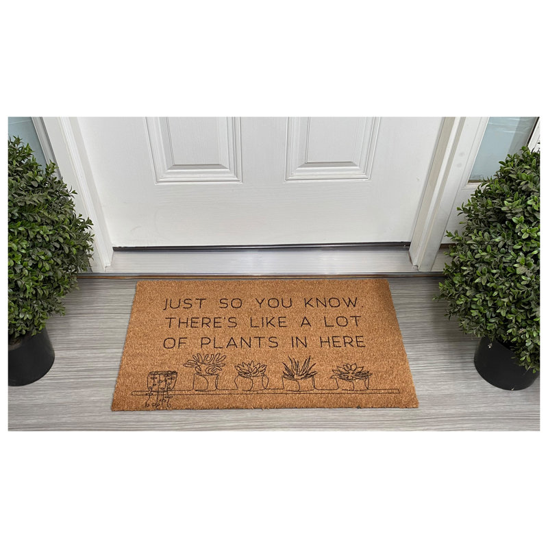 Non-Slip Doormat, 24" W x 36" L