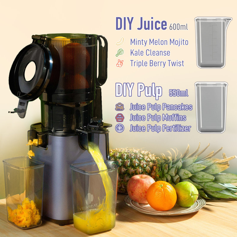 Ventray Purple Electric Masticating Juicer with Large Feed Chute