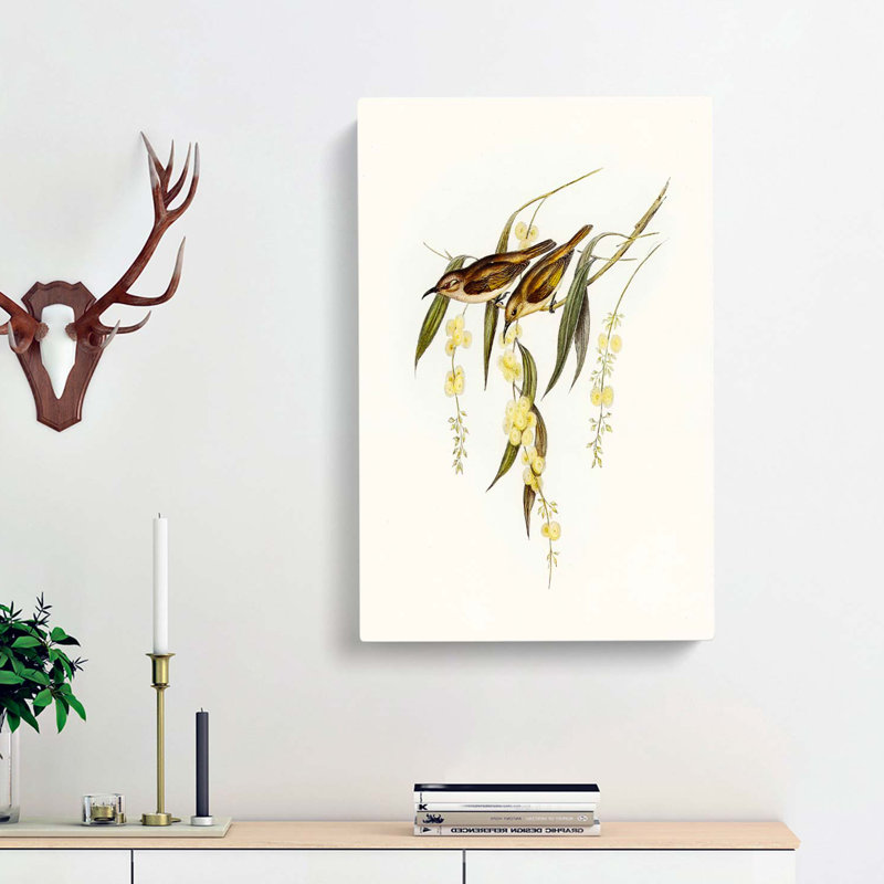 Brown Honeyeater Birds by Elizabeth Gould - Wrapped Canvas Painting, 60cm H x 40cm W x 3cm D