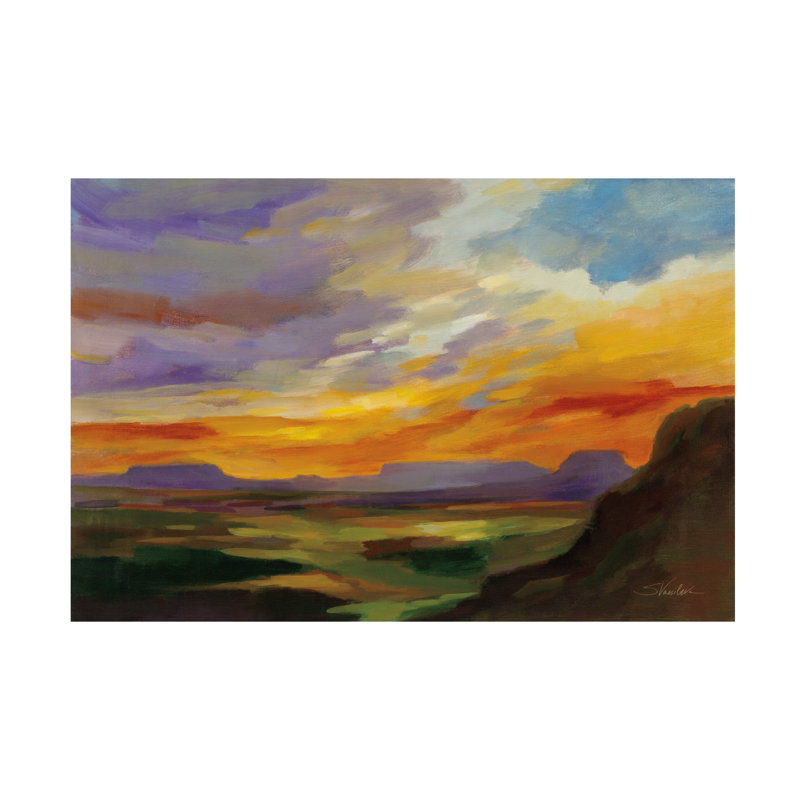 Silvia Vassileva, «Sonoran Desert Sunset», art sur toile, H 22 po x l 32 po x P 2 po