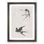 Two Swallows by Sakai Hoitsu - Picture Frame Painting Print-55605880-55605881