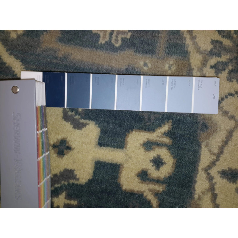 Kassidie Oriental Area Rug in Blue