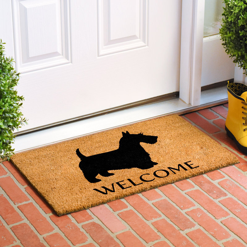 Non-Slip Indoor Doormat, 17" W x 29" L