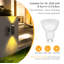 Matte Black 16.8cm H Outdoor Sconce