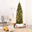 Cache-pied d'arbre-62660163