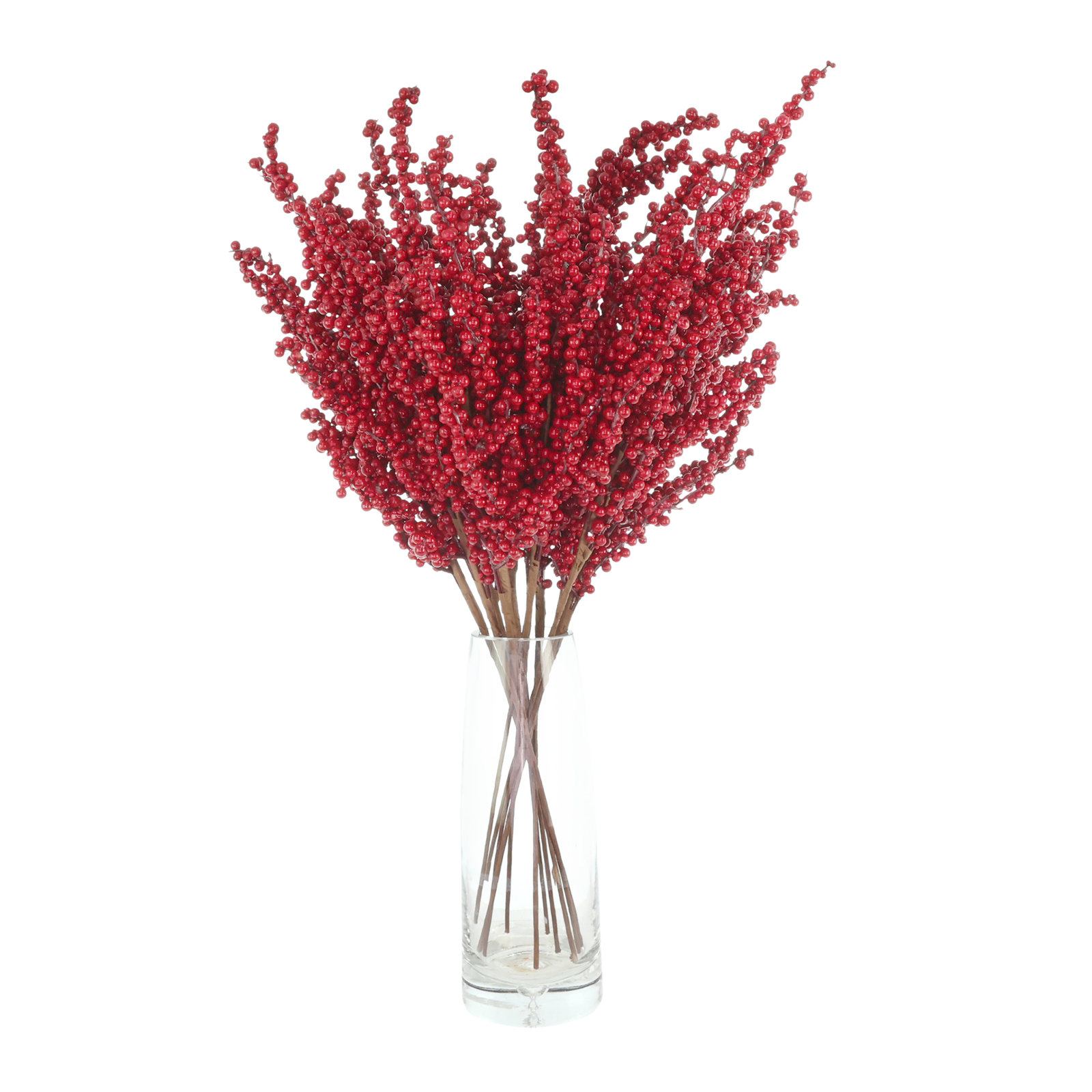 Red Berry Stems