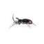 Awesome Insects Rhinoceros Beetle Figurine-101878179