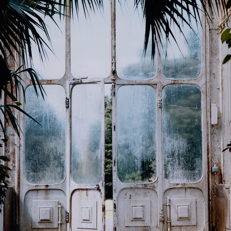 Greenhouse II Print by Annie Spratt, 48" H x 48" W x 2.5" D
