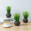Herbes artificielles 7,1 po avec pot rond
