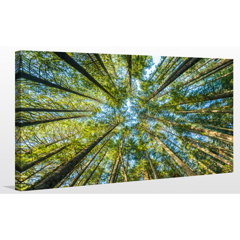 « infinity », reproduction de photo sur toile tendue, H 24 po x l 40 po x P 1 po