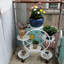 Support pour plante en pot Campisano-660658603