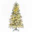 Arbres de noël-852827640