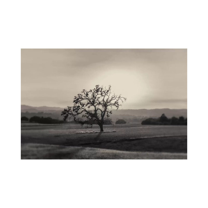 Solo 1 Piece Wrapped Canvas Wall Art, 66.04 cm H x 45.72 cm W x 3.175 cm D